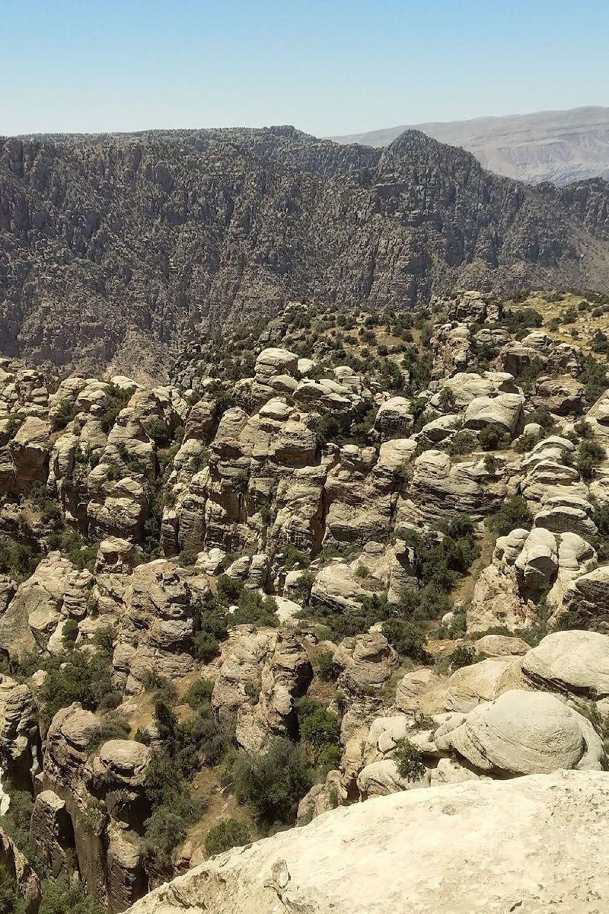 Jordanie Dana Natuurpark Panorama