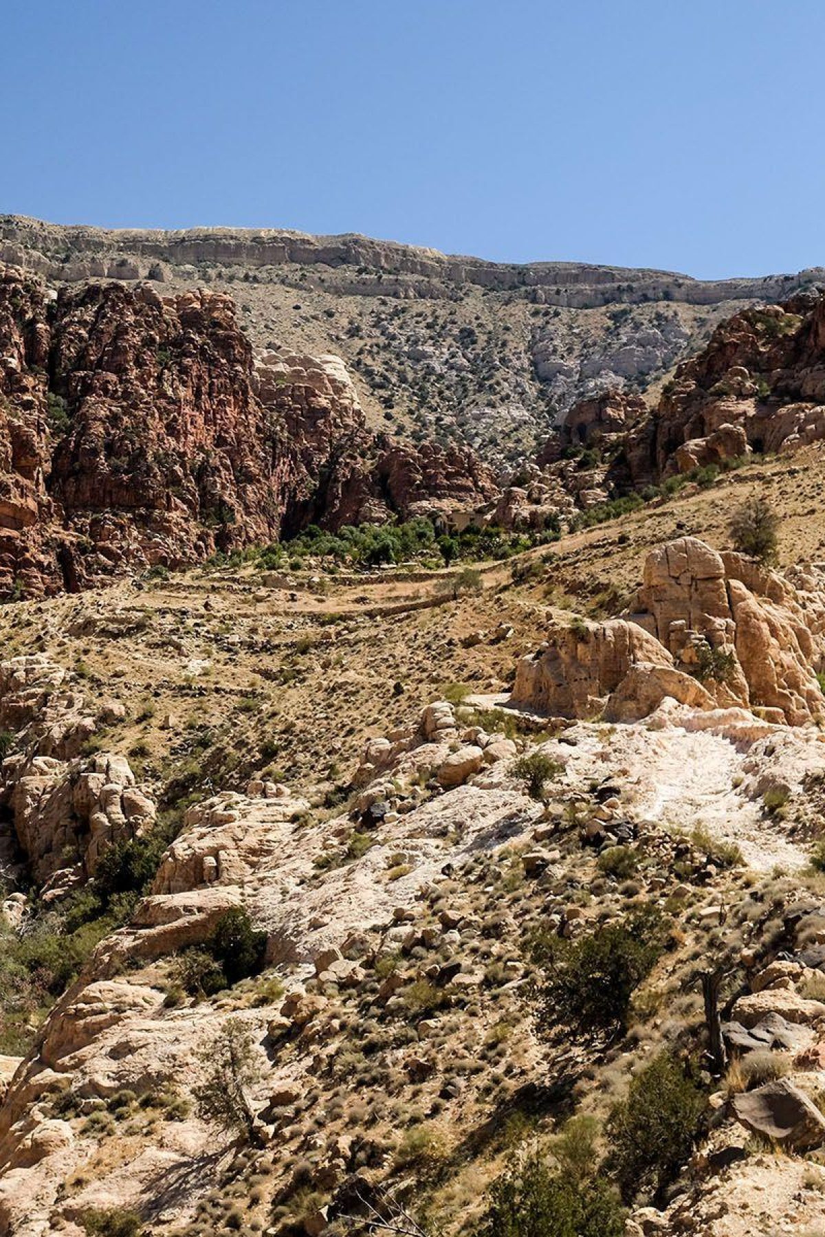 Jordanie Dana Natuurpark Rotsen