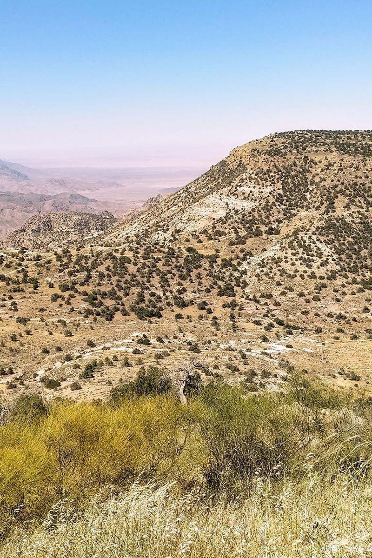 Jordanie Dana Natuurpark Uitzicht