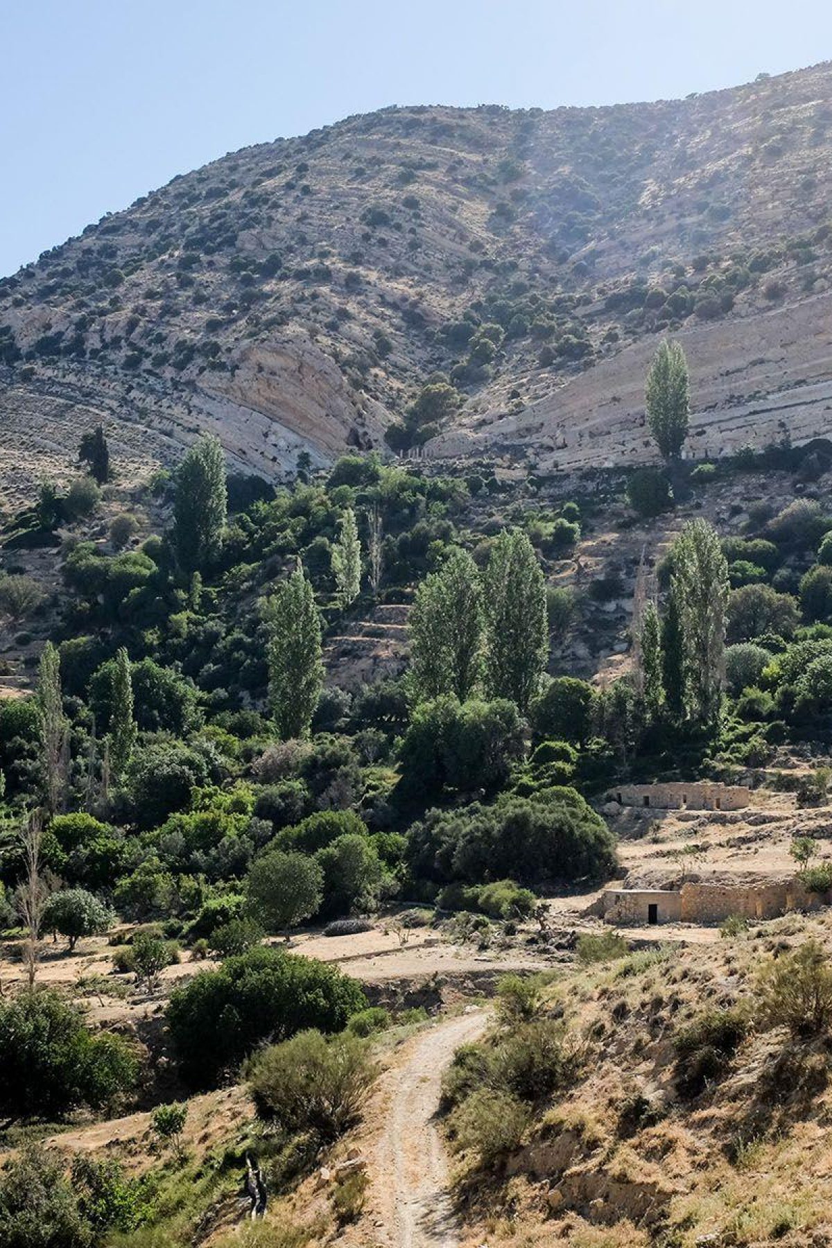 Jordanie Dana Natuurpark