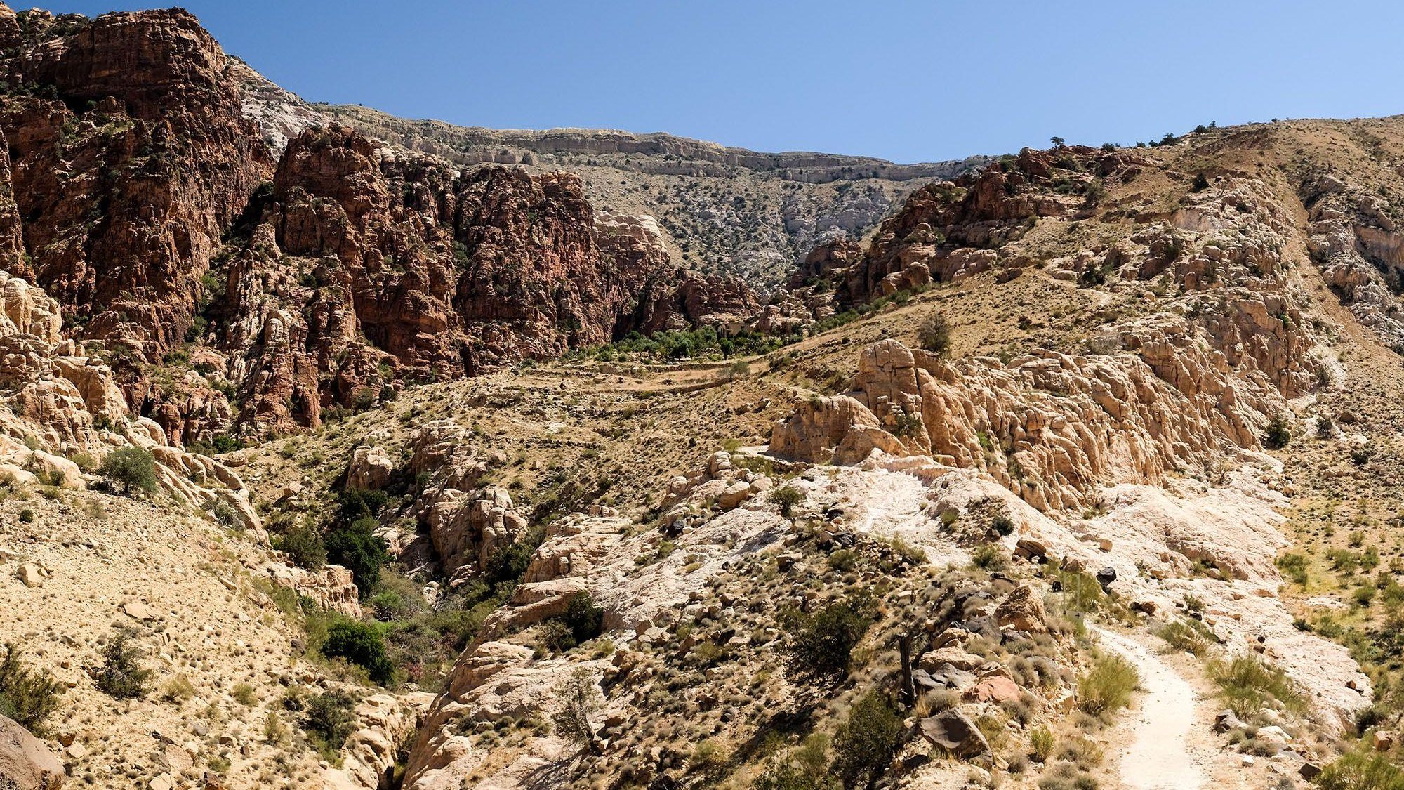 Jordanie Dana Natuurpark Rotsen