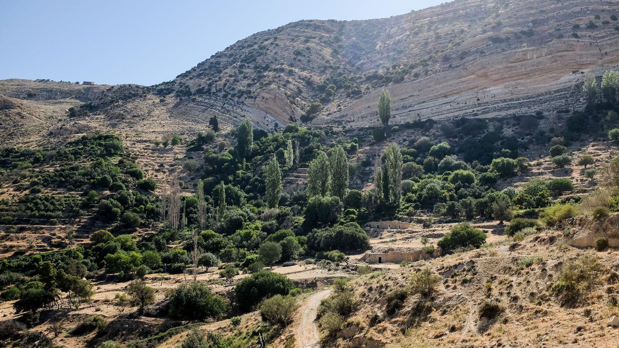 Jordanie Dana Natuurpark